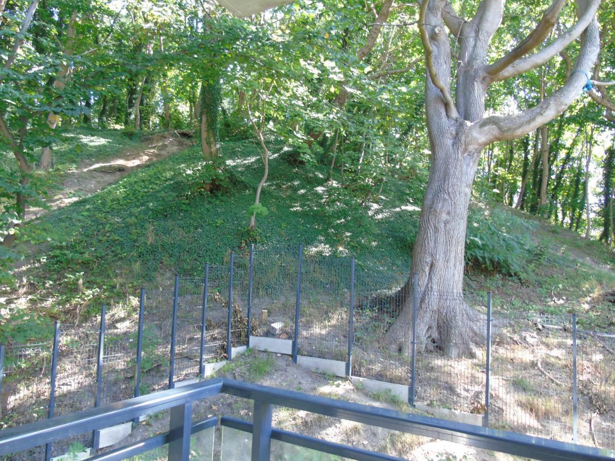 Apartment Mit Blick Auf Den Park - Apartament Mariw Matejki 17 Z Widokiem Na Park Swinoujscie Dış mekan fotoğraf
